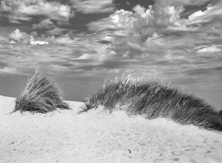 Cayeux-sur-Mer