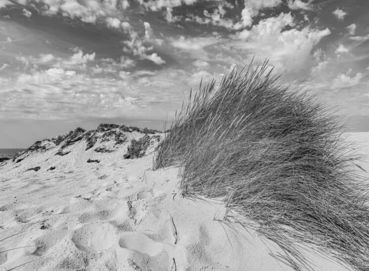 Cayeux-sur-Mer