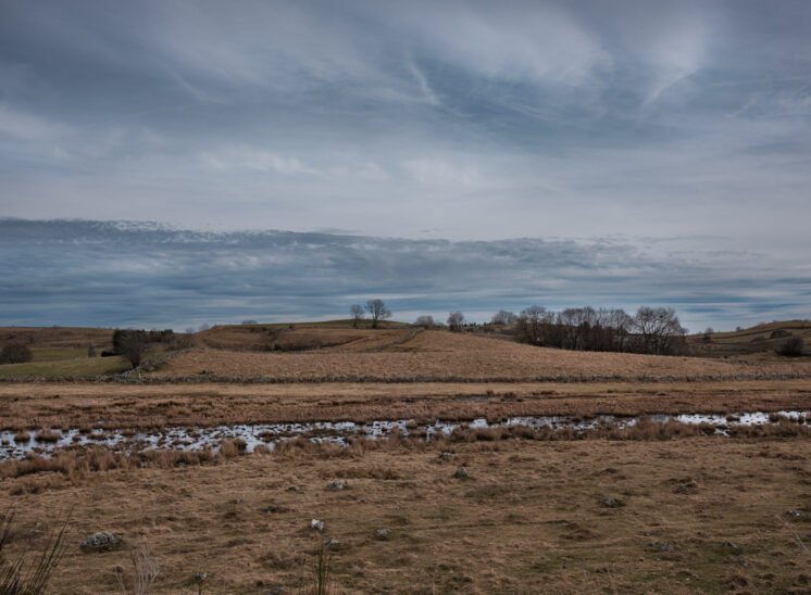 Aubrac