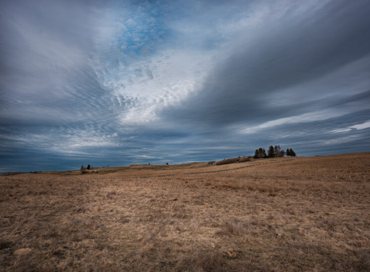 Aubrac