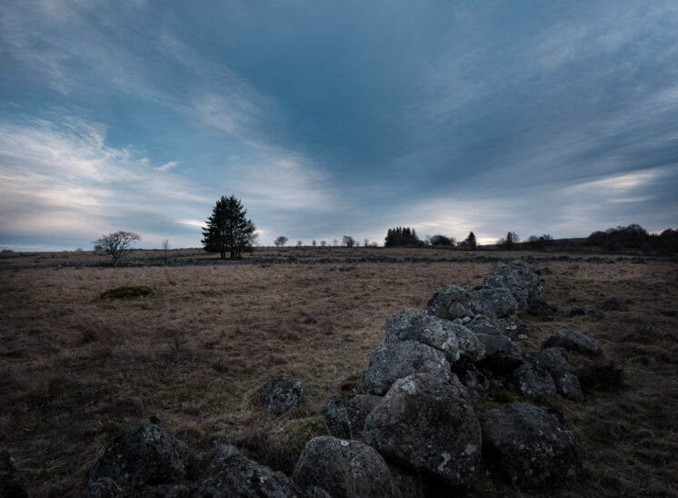 Aubrac