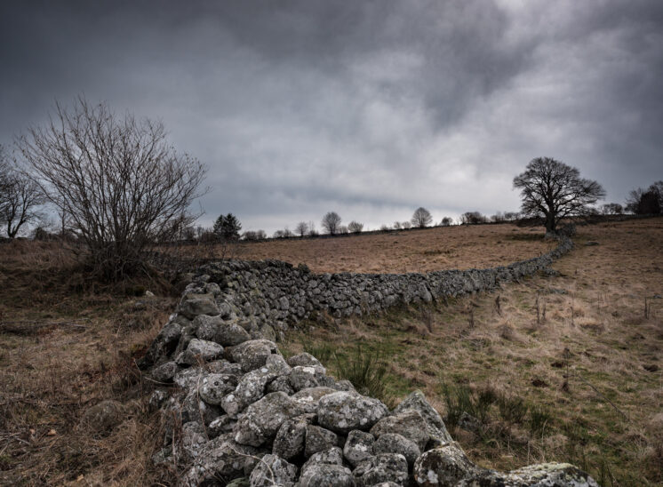 Aubrac