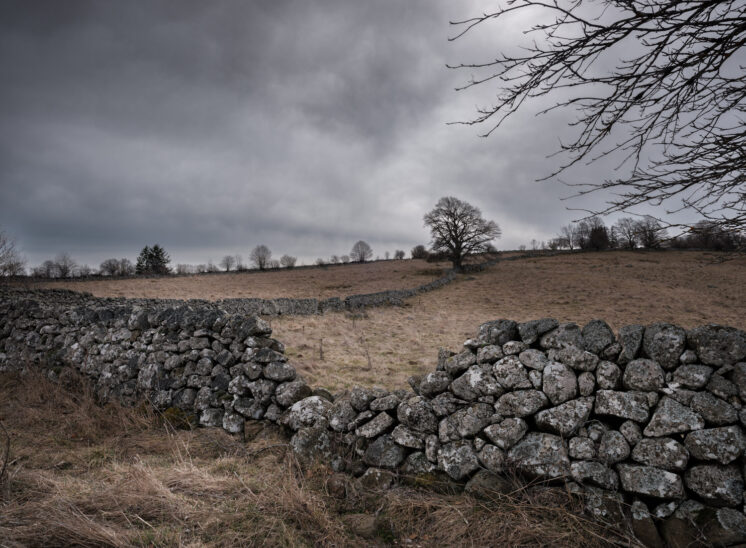 Aubrac