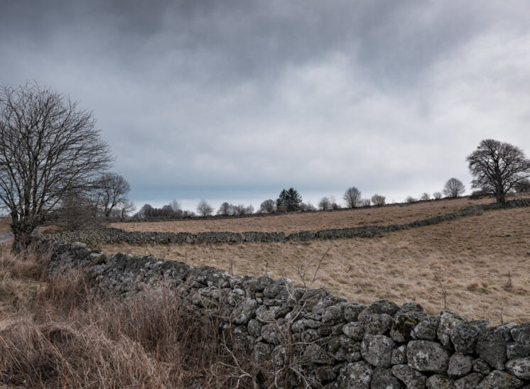 Aubrac