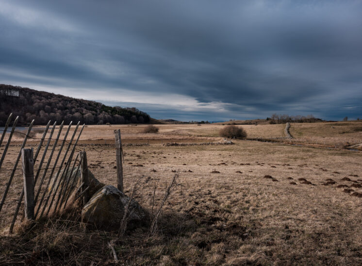 Aubrac