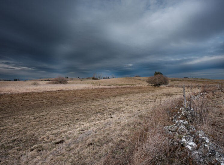 Aubrac