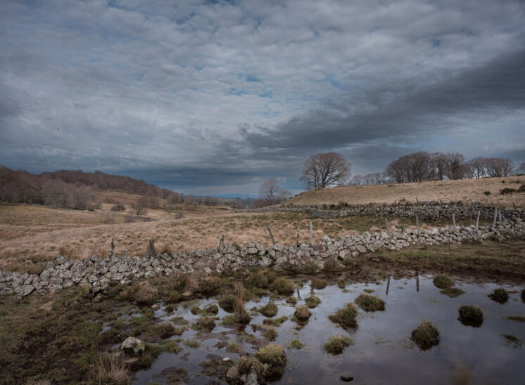 Aubrac