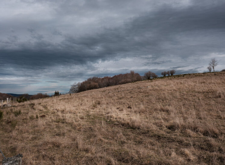 Aubrac