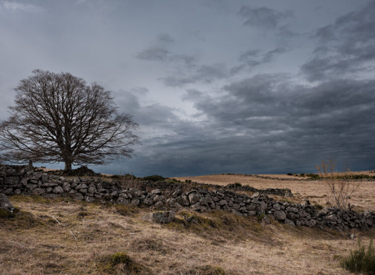 Aubrac
