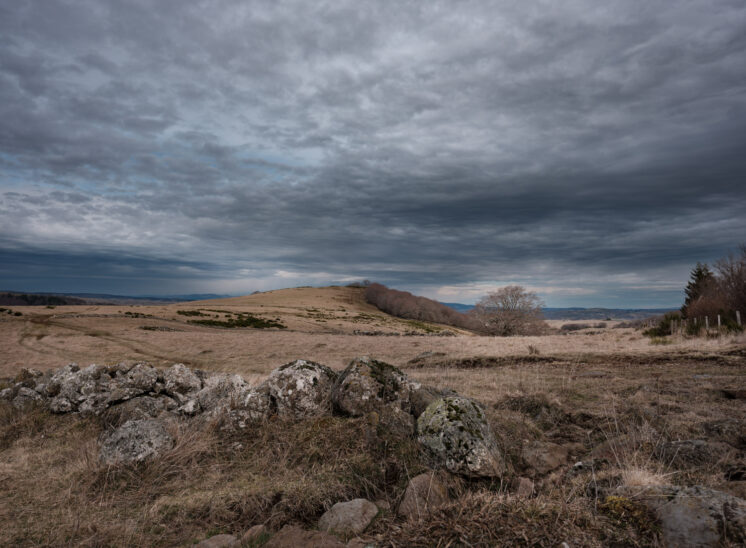 Aubrac