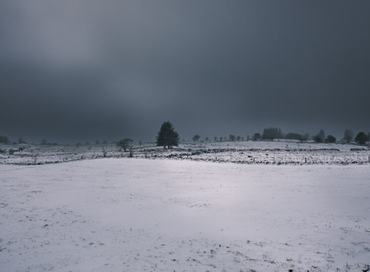 Aubrac